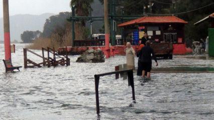 Şifa arayanlar taşkını dinlemedi! Muğla'ya akın akın geldiler