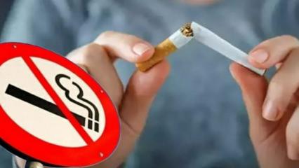 Sigara insanlığın en b&uuml;y&uuml;k salgını! Korkun&ccedil; rakamlar