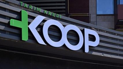 Tarım Kredi KOOP Market'lerden fırsat&ccedil;ılığa ge&ccedil;it yok: Sabit fiyatla kıyma satılacak