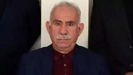 Taslak raporda ter&ouml;ristbaşı &Ouml;calan'a umut hakkı yer almıyor