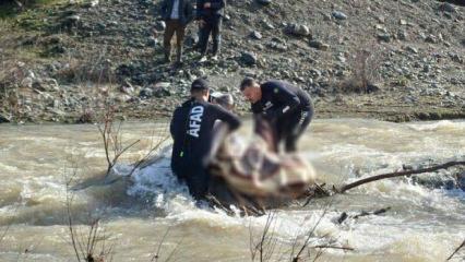 Tokat'ta kayıp kadının dere yatağında cansız bedeni bulundu!