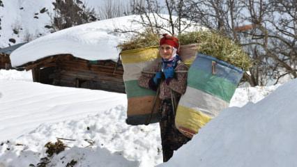 Artvin&rsquo;de kış masalı: Şavşat Maden K&ouml;y&uuml;&rsquo;nde karlar altında foto safari