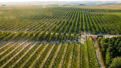 Avrupa 2040'da 2 kat gen&ccedil; &ccedil;ift&ccedil;i hedefliyor, tarımda gelecek gen&ccedil;lerle bi&ccedil;ilecek