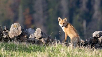Bakanlık devrede! Yeni &ouml;nlemler alınacak