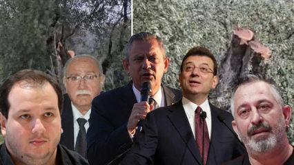 CHP'de &ccedil;evre riyakarlığı: &Ouml;zel konuşurken, başkanı zeytinlikleri kesti