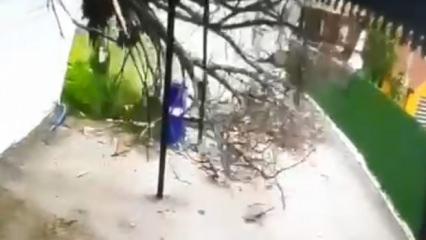 Devrilen ağacın altında kalmaktan son anda kurtuldu