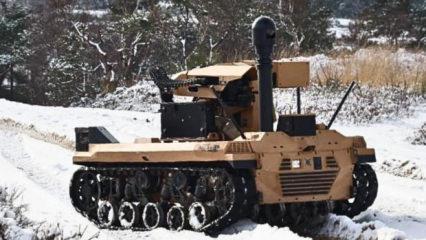 D&uuml;nya hayran kaldı! NATO'dan 'Aslan' paylaşımı