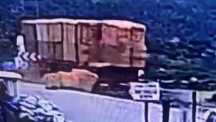 Ecel yolda y&uuml;r&uuml;d&uuml;ğ&uuml; sırada yakaladı! &Ouml;l&uuml;m anı kamerada