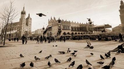 G&uuml;vercinlere doğum kontrol programı uygulanacak! Turizm şehrinde yeni karar