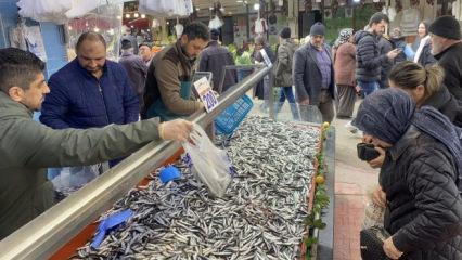 Hamsi bolluğu s&uuml;r&uuml;yor: Kilosu 200 lira