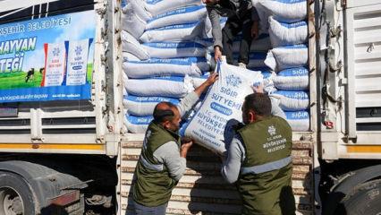 Aydın B&uuml;y&uuml;kşehir Belediyesi'nden y&uuml;z g&uuml;ld&uuml;ren destek 