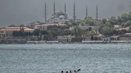 İstanbul'da havası en kirli ve en temiz il&ccedil;eler belli oldu: Listeyi g&ouml;ren g&ouml;z&uuml;ne inanamadı