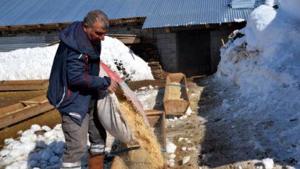 İstanbul'dan k&ouml;y&uuml;ne d&ouml;nd&uuml;: 4 yılda 100'den 680'e y&uuml;kseltti 