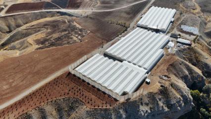 Kazan&ccedil;sız araziye ekti, aldığı riskle bayram etti 