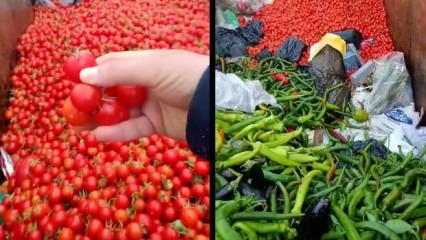Kilolarca sağlam sebze &ccedil;&ouml;pe atıldı! Vicdansızlık vatandaş kamerasında