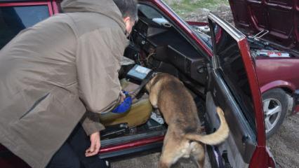 Nevşehir merkezli uyuşturucu operasyonu: 40 zanlı yakalandı