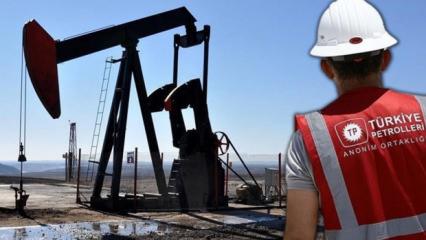 Petrol iddialarına cevap: Kara propaganda...