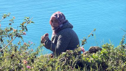 Evladı i&ccedil;in falezlere &ccedil;ıkan anne: Hayvanlar bile bırakmıyor yavrularını nasıl bırakayım?