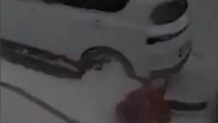 Rusya'da bir kadının &uuml;zerine dev kar k&uuml;tlesi d&uuml;şt&uuml;