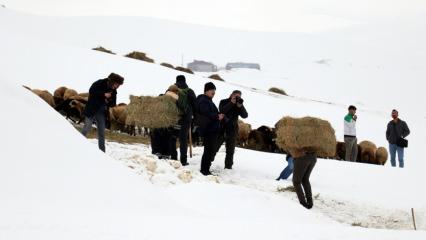 Tarih ve doğa karla kaplandı: Fotoğraf tutkunları akın etti