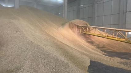 TMO, stoklarındaki buğdayı satışa sundu