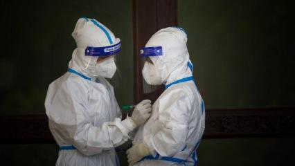 Tropikal hastalık Avrupa'da salgına d&ouml;n&uuml;şebilir