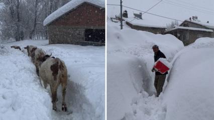 Karların altında kaybolan k&ouml;y! Tunceli'de sıradışı anlar