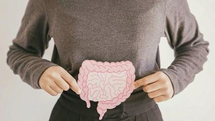 Uzman isim uyardı: Hareketsizlik, alkol ve sigara kolon kanseri riskini artırıyor