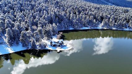 Kış manzarası: G&ouml;lc&uuml;k Tabiat Parkı beyaza b&uuml;r&uuml;nd&uuml;