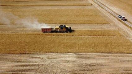 &Ccedil;ift&ccedil;ilere 149,6 milyon liralık tarımsal destekleme &ouml;demesi bug&uuml;n yapılıyor