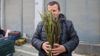 Doğada kendiliğinden yetişiyor! Kilogramı 150 TL 