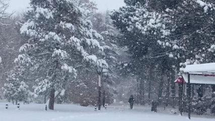 Erzincan&rsquo;da kardan 524 k&ouml;y yolu kapandı