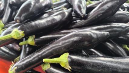 Havalar soğudu, patlıcan fırladı! Kilosu 150 TL