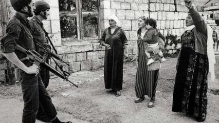 Irgun (Etzel): Filistin&rsquo;de Siyonist ter&ouml;r&uuml;n kurumsallaşması