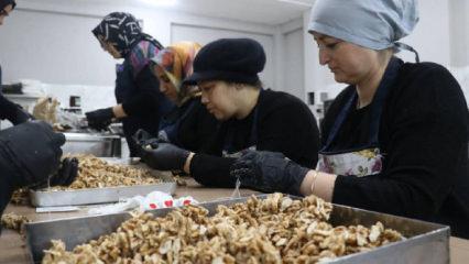 KOSGEB, 53 bin KOBİ'ye destek verecek