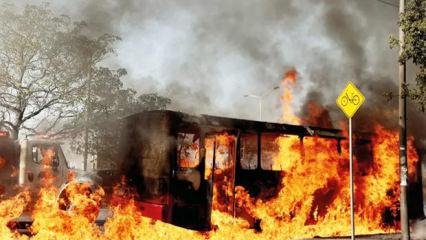 Meksika'da ne oluyor? Kartel savaşının detayları