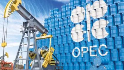 OPEC+ &uuml;yesi 8 &uuml;lke, nisanda petrol &uuml;retimini g&uuml;nl&uuml;k 206 bin varil artıracak