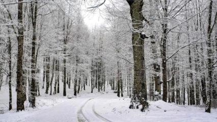 Bir&ccedil;ok ilimizde eğitime kar yağışı engeli: Okullar tatil edildi!