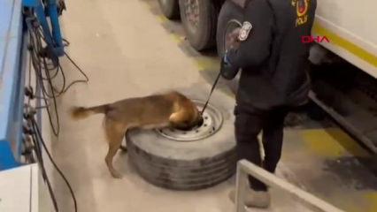 TIR'ın stepnesinde ele ge&ccedil;irildi: Tam 22,5 kilo!