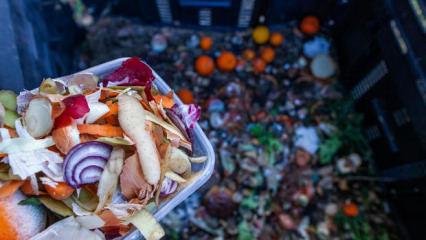 &Uuml;lkemizde yılda 23 milyon ton gıda israf ediliyor! Acı rapor ortaya &ccedil;ıktı