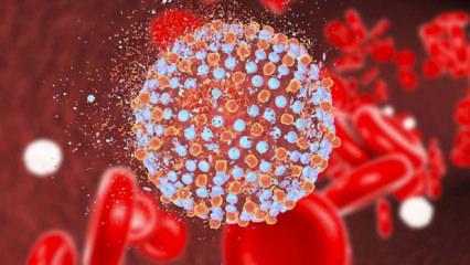 Uzman isim uyardı: Kapı kapı dolaşıp Hepatit C vir&uuml;s&uuml; bulaştırıyorlar