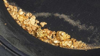 Yeni altın rezervi buldular! End&uuml;stri standartlarının &uuml;zerinde saflığa sahip