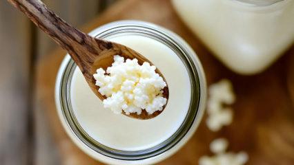 2 haftada 4 kilo verdiren kefir diyeti