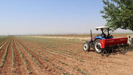 Tarımda maliyetleri d&uuml;ş&uuml;recek karar: G&uuml;bre ithalatında vergi sıfırlandı
