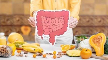 Bağırsak sağlığını tehdit eden en k&ouml;t&uuml; besinler belli oldu!