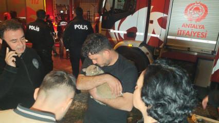 Daireyi alevler sardı! 5. kattaki boş dairede mahsur kalan kediyi itfaiye kurtardı
