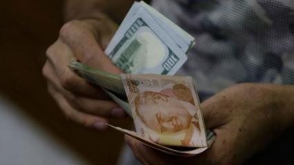 Reel efektif d&ouml;viz kuru y&uuml;kselişte: TL Şubat ayında da değer kazandı