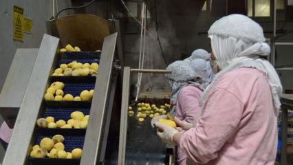 Gıda sekt&ouml;r&uuml;ne ceza yağdı! Piyasayı bozanlara ge&ccedil;it yok