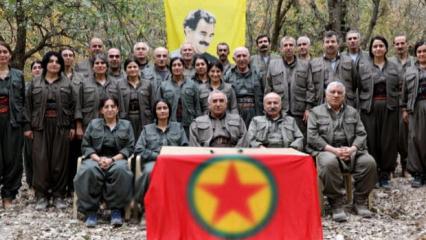 İsrail'in aparatı Rubin'den PKK talebi: Ter&ouml;r listesinden &ccedil;ıkarın!