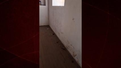 İznik'te Candarlı İbrahim Paşa T&uuml;rbesisinin i&ccedil;ler acısı hali tepki &ccedil;ekti